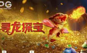 星空全站桌面版客户端