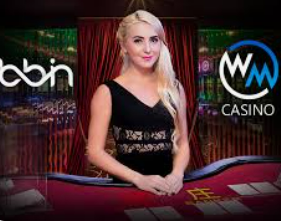 星空全站免费版